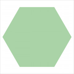 Winckelmans Hexagon Pistachio - PIS