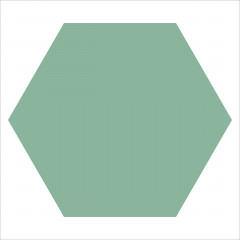 Winckelmans Hexagon Pale Green - VEP